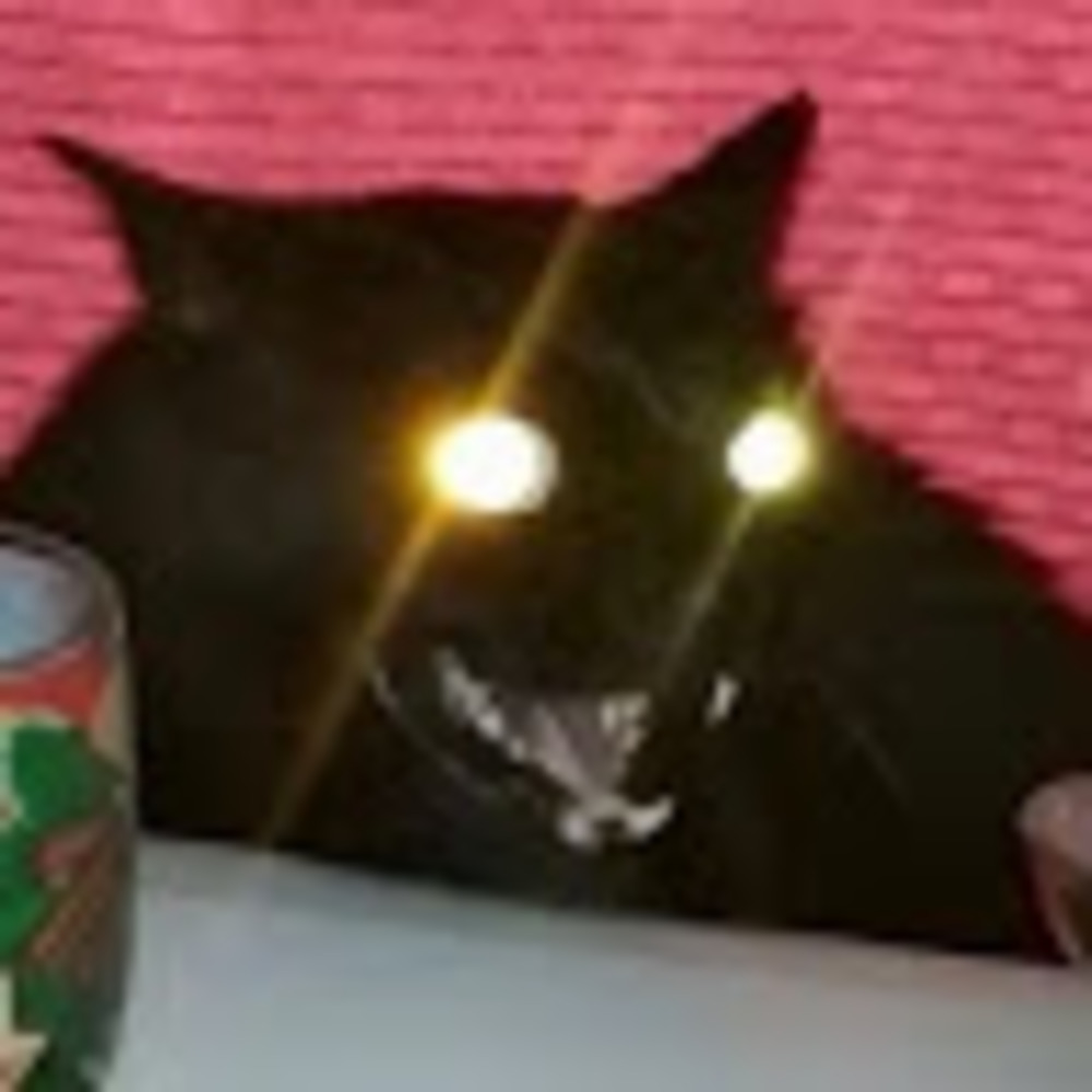 Meet your Posher, Kaila